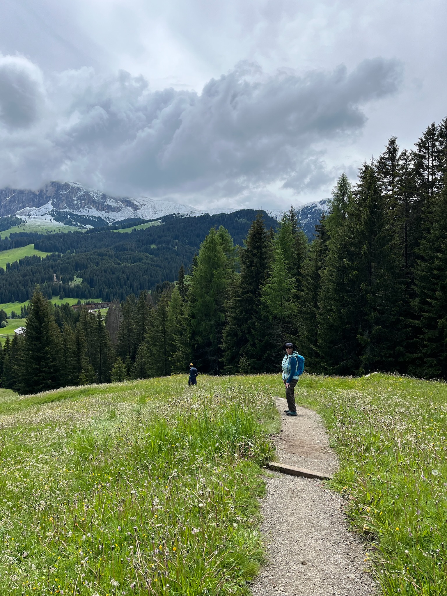 Meadows | Italian Dolomites Guided Hiking