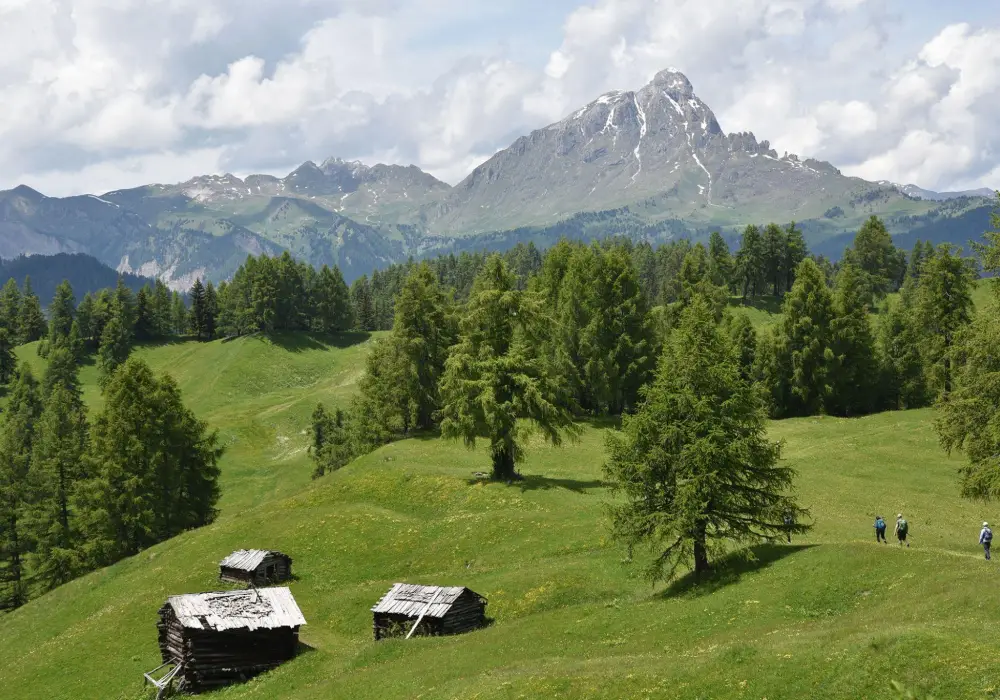 Santa Croce - Hiking Tours Dolomites