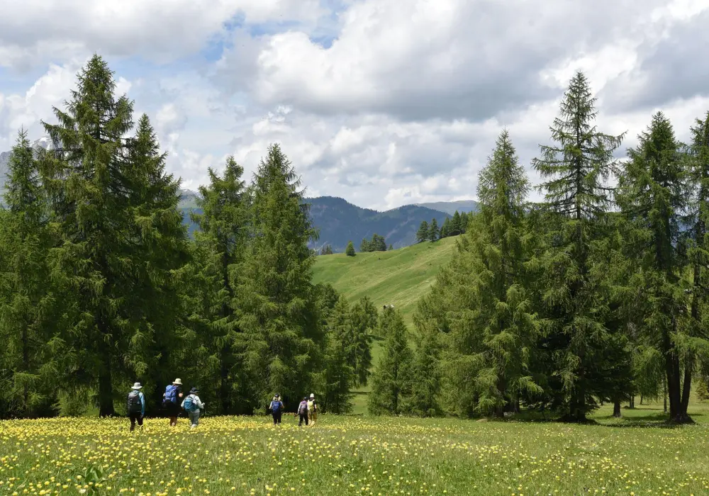 Guided Hiking in Dolomites