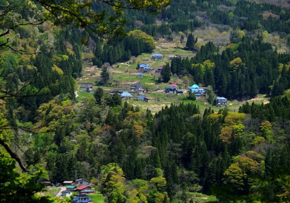 Nakaya Valley - Japan Guided Hikes