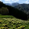 Walk Japan’s Ancient Salt Road with Guided by Nature 