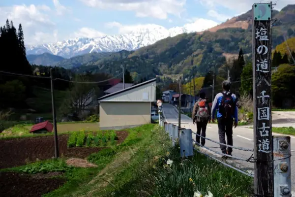 A Passion for Guiding: Discovering Japan's Natural Wonders