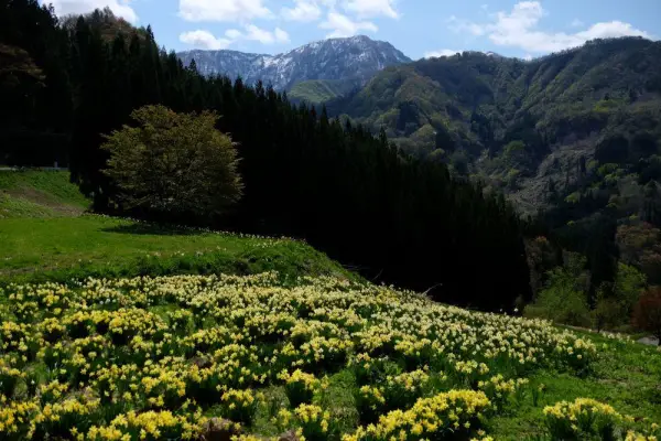 Walk Japan’s Ancient Salt Road with Guided by Nature