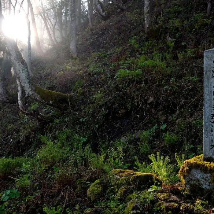 Hiking in Japan - Guided & Luxury Tours
