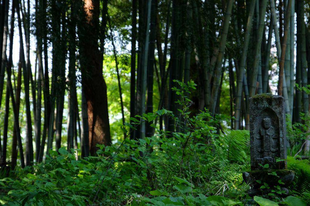 Japan's Ancient Salt Road Walk