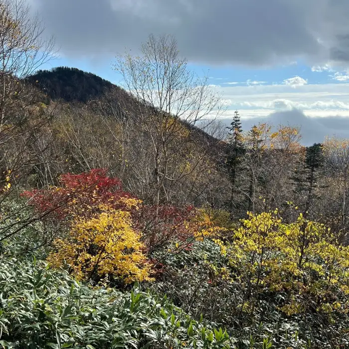 D8ffc27a b496 417b adaf 46d8c76c189f