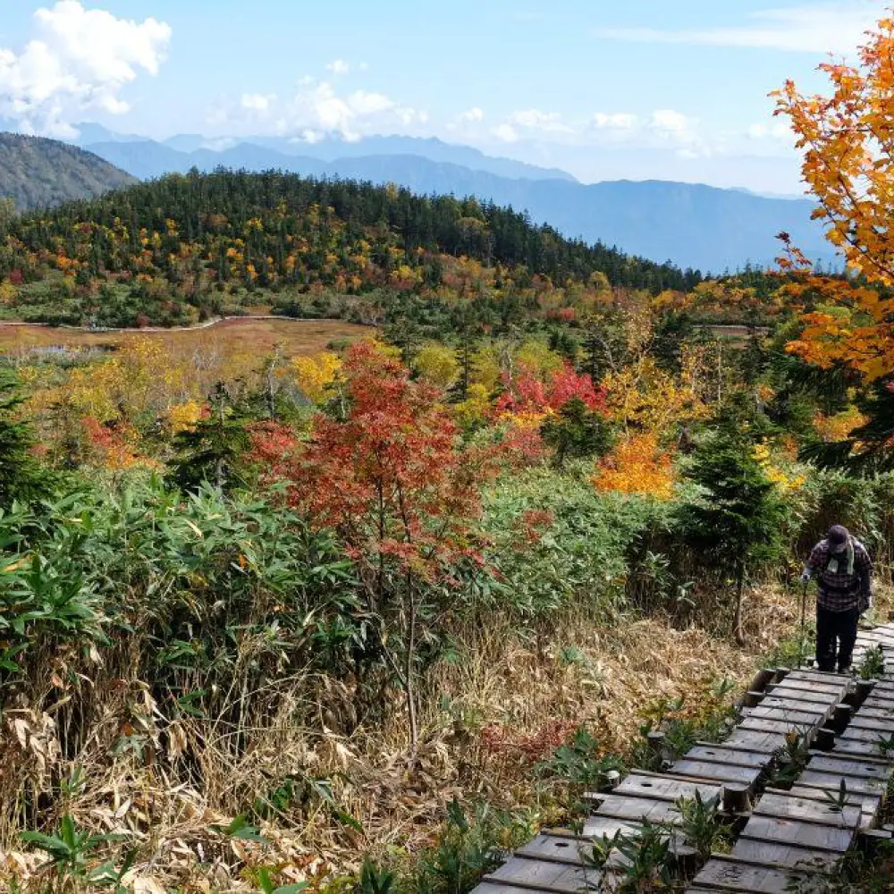 Tsugaike Nature Park - Guided Walks