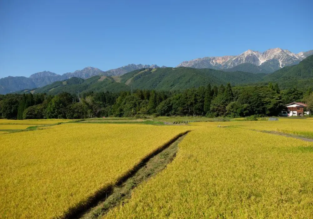 Hiking Japan's Salt Road - Guided by Nature