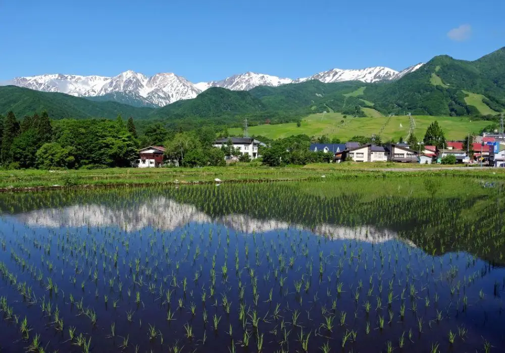 Hiking Through Japan With Local Guides