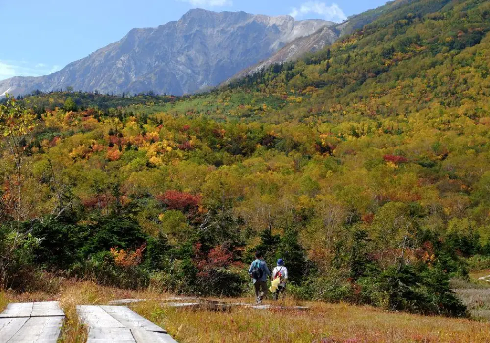 Tsugaike Nature Park - Guided Walks Japan