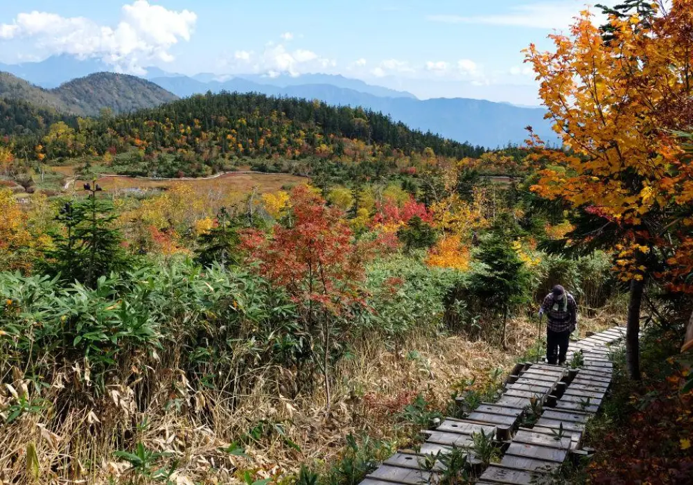 Tsugaike Nature Park - Guided Walks