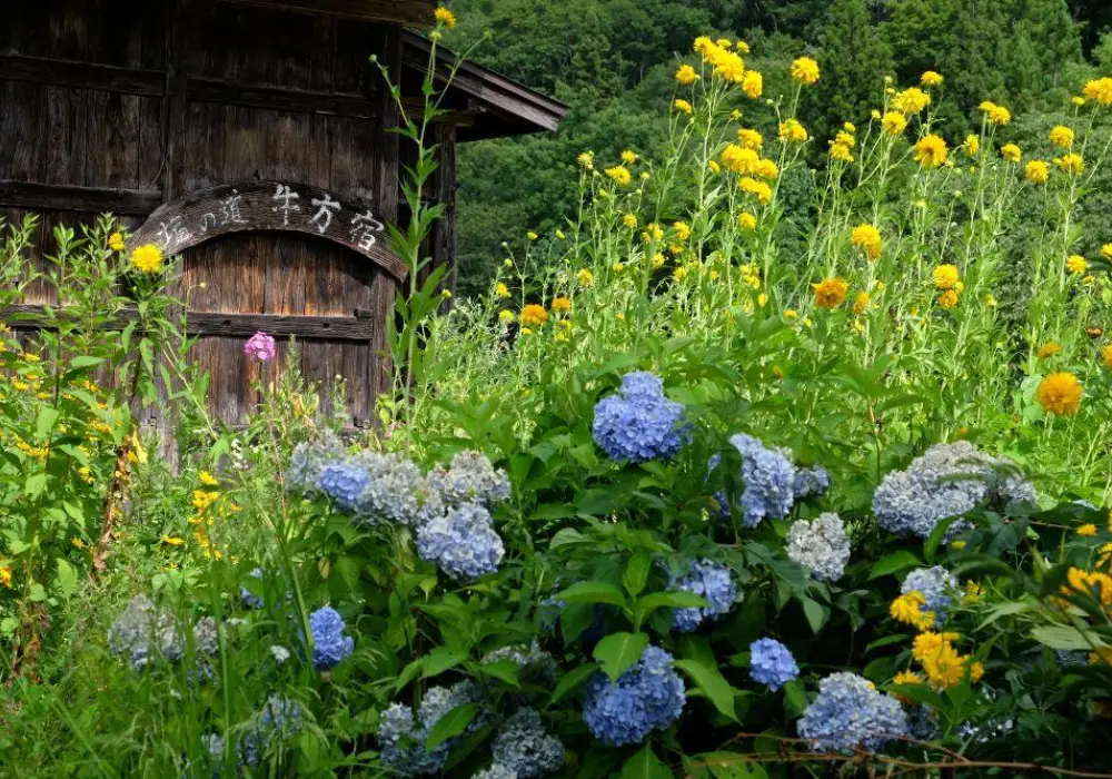 Japanese Villages - Guided Walks