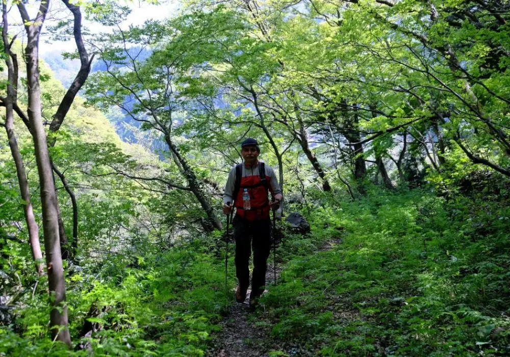 Hiking in Japan - Guided by Nature