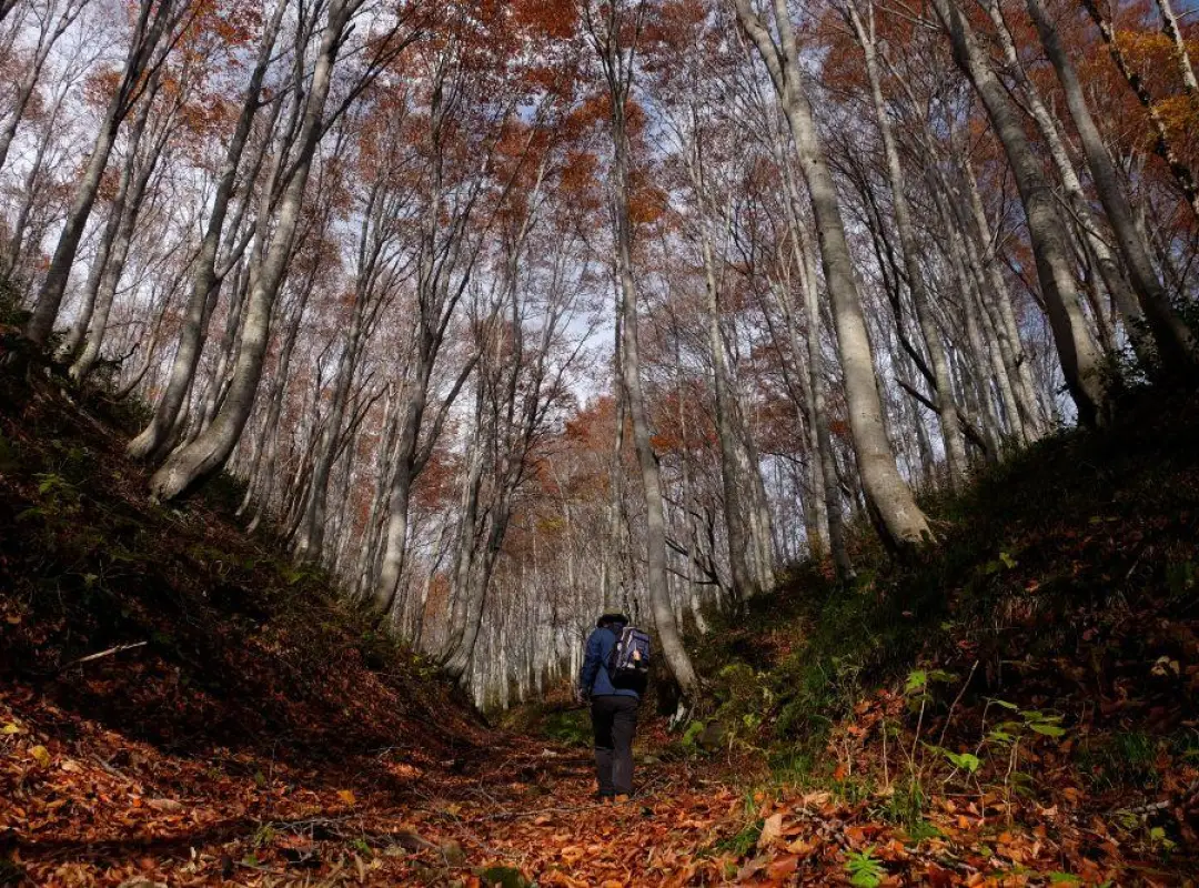 Hiking Japan - Guided by Nature