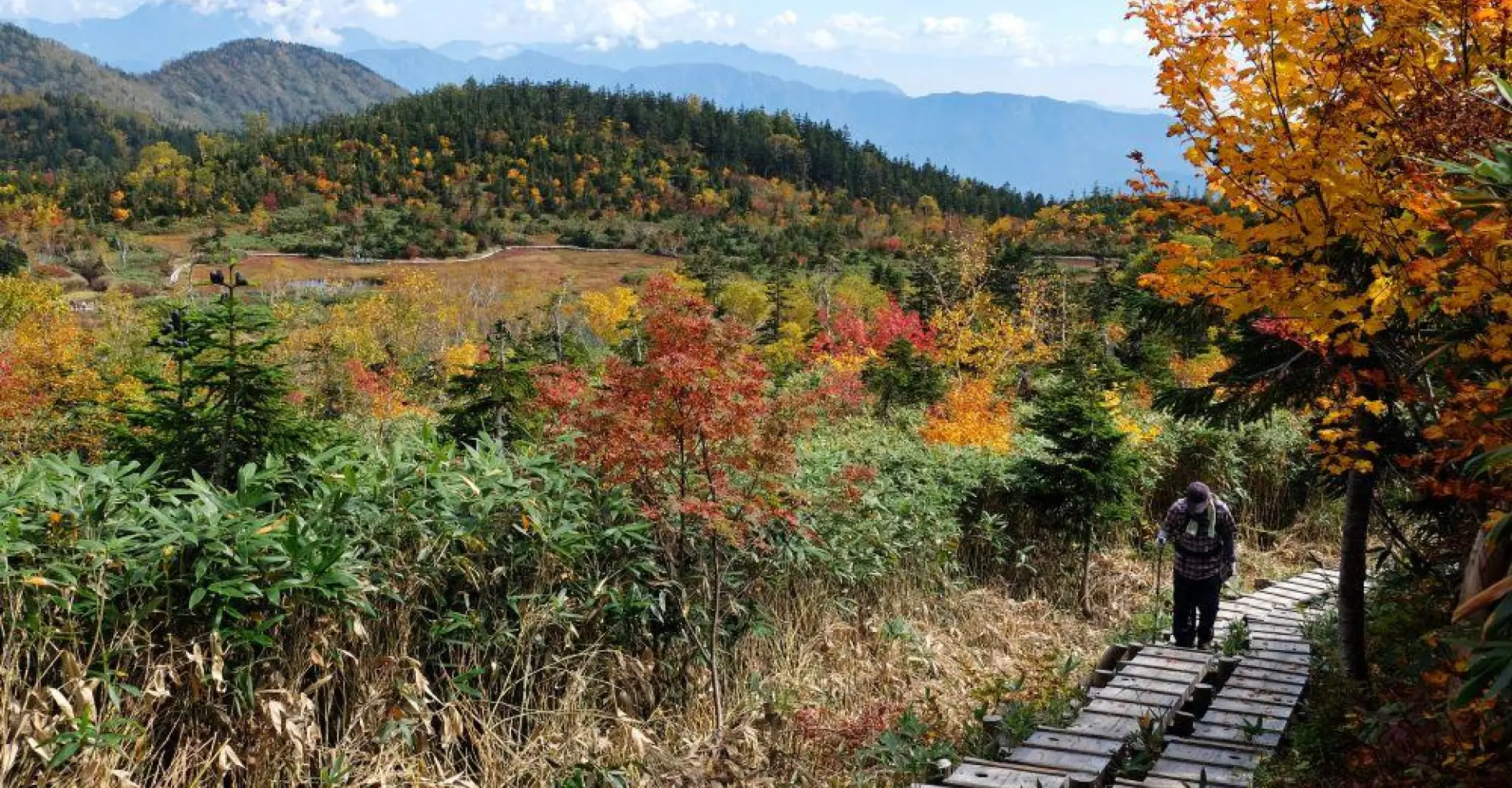 Tsugaike Nature Park - Guided Walks