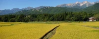 Hiking Japan's Salt Road - Guided by Nature