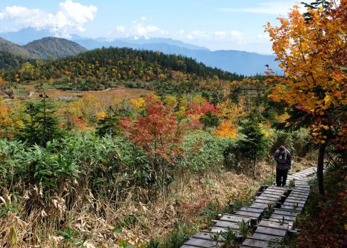 Tsugaike Nature Park - Guided Walks