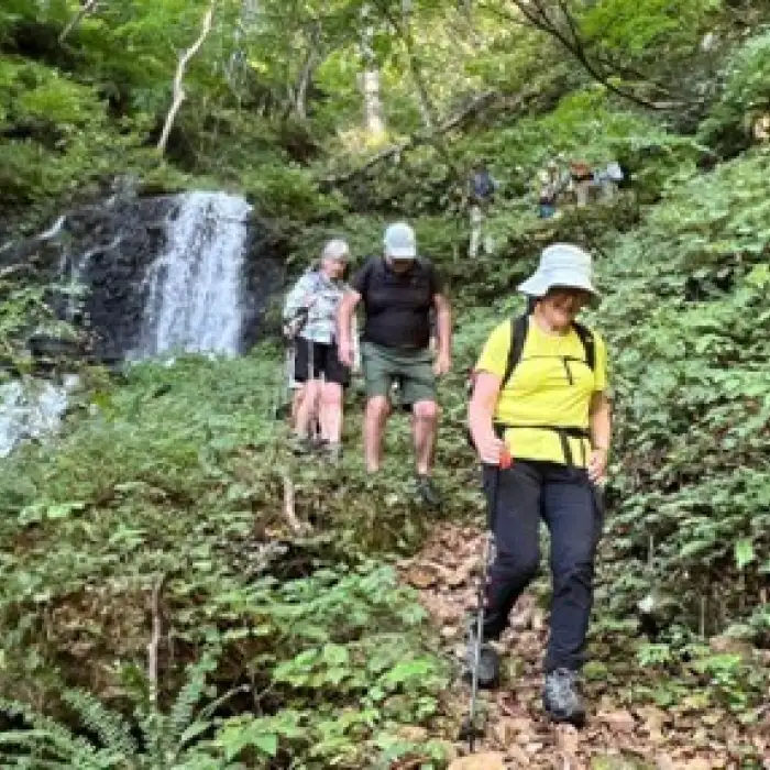 Japan rainforest hike to Oami Tsui-no-ie