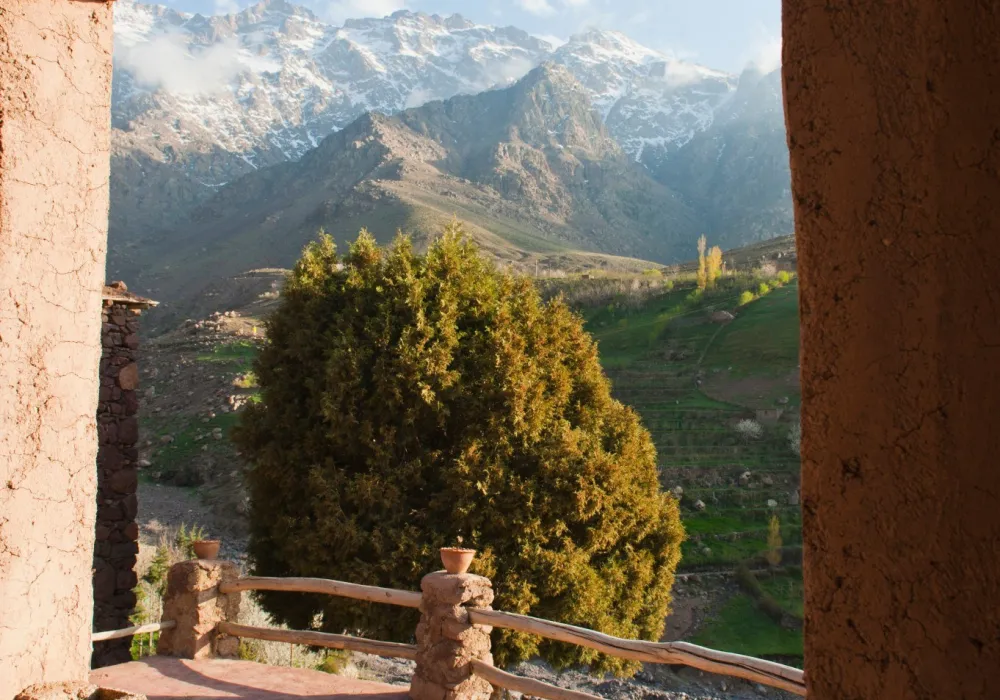 Tizi n Tamatert, High Atlas Mountains, Morocco, North Africa, Africa, Magic of Morocco Walk, Guided by Nature