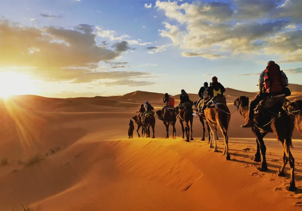 Sahara Desert sunrise camel ride, Merzouga, Magic of Morocco Walk, Guided by Nature
