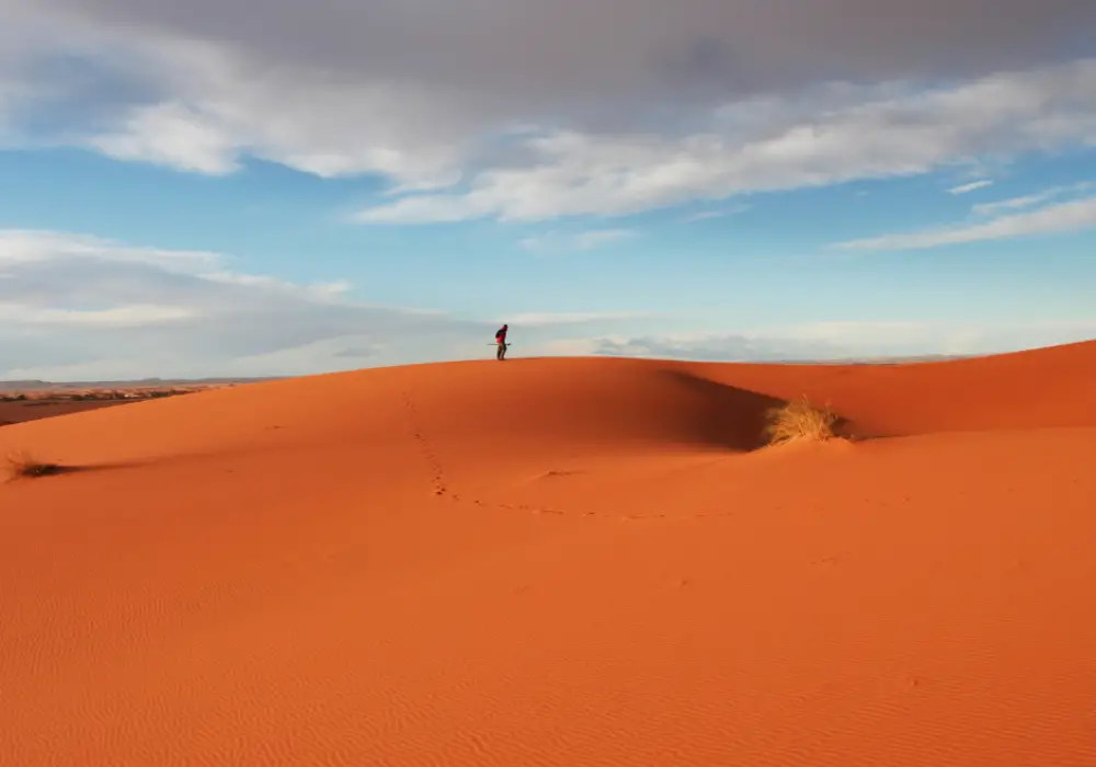 Sahara Desert - Guided Hiking