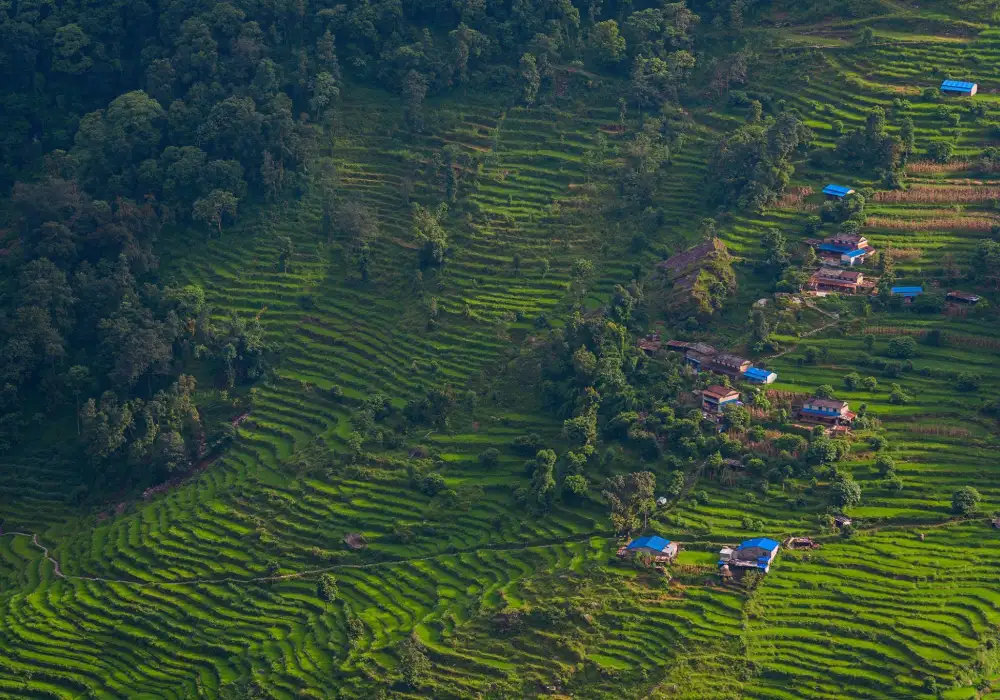 Dhampus - Guided Annapurna Hike