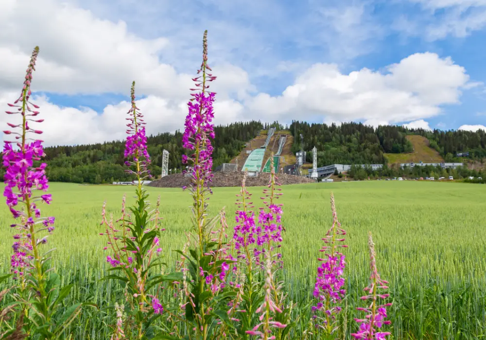 Day 3 - Lillehammer - Guided by Nature