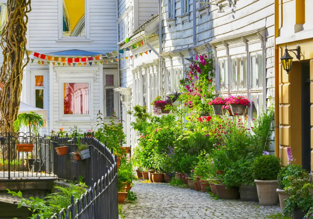 Bergen Streets - Guided by Nature