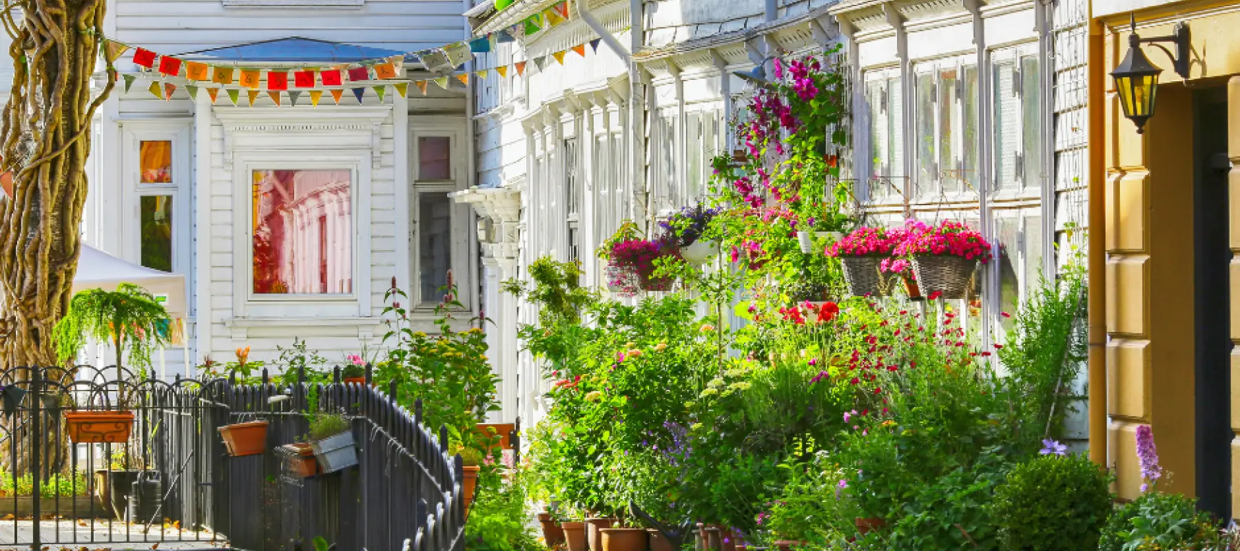 Hiking in Norway - Bergen Streets