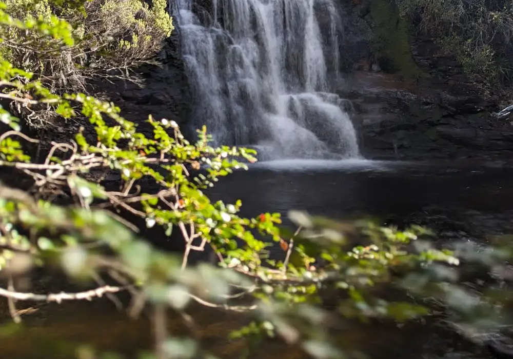 Kia Ora Falls at Cradle Mountain by Eduardo Marques