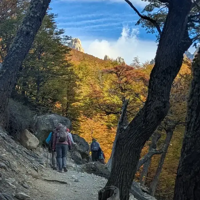 Autumn in Patagonia