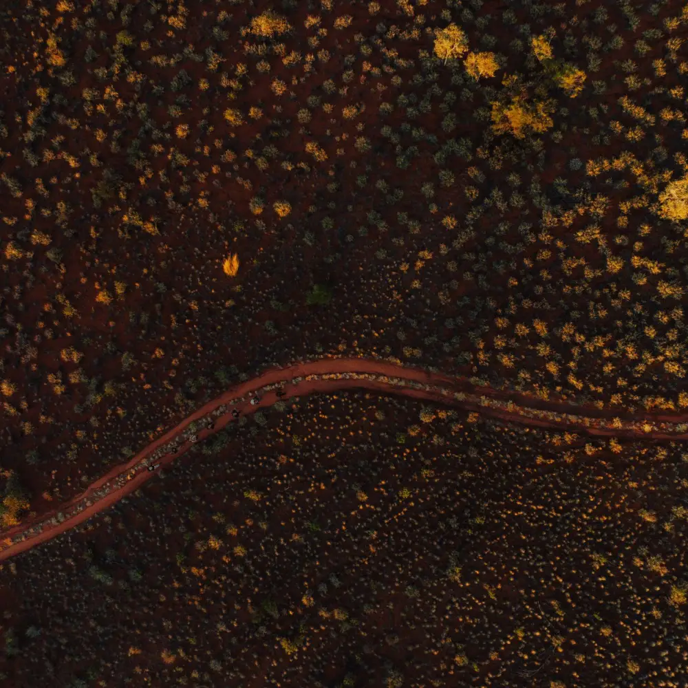 TWC Uluru Going North Drone 31