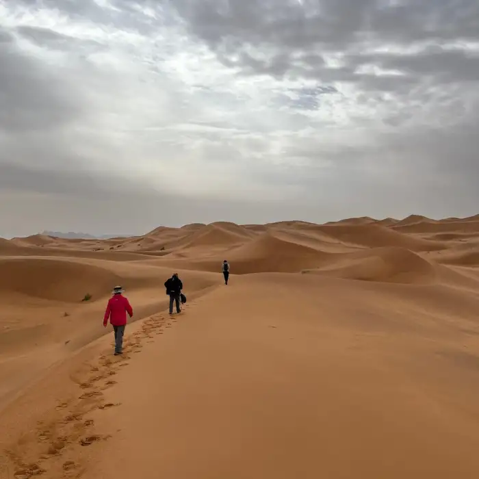 Hiking Sahara - Guided by Nature