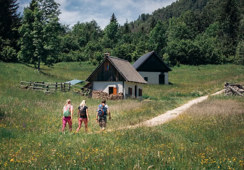 Hiking Lake Bohinj - Slovenia Guided Hike